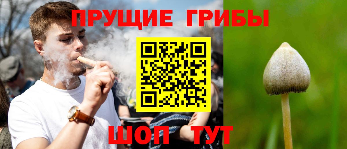 Галлюциногенные грибы ЛСД  Вход с VPN  Гусев 